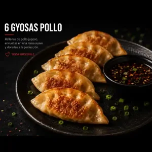 6 GYOSAS POLLO